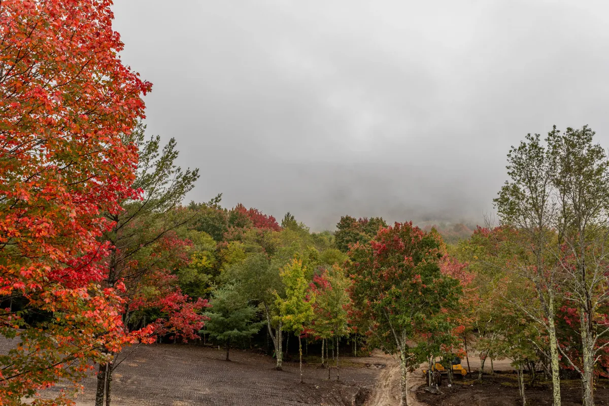 A breathtaking exterior shot featuring a tapestry of vibrant red and orange autumn leaves, lush green trees, and misty Blue Ridge Mountains receding in the background. The image evokes the tranquility and natural beauty of the area, with woodland paths subtly visible, inviting exploration.